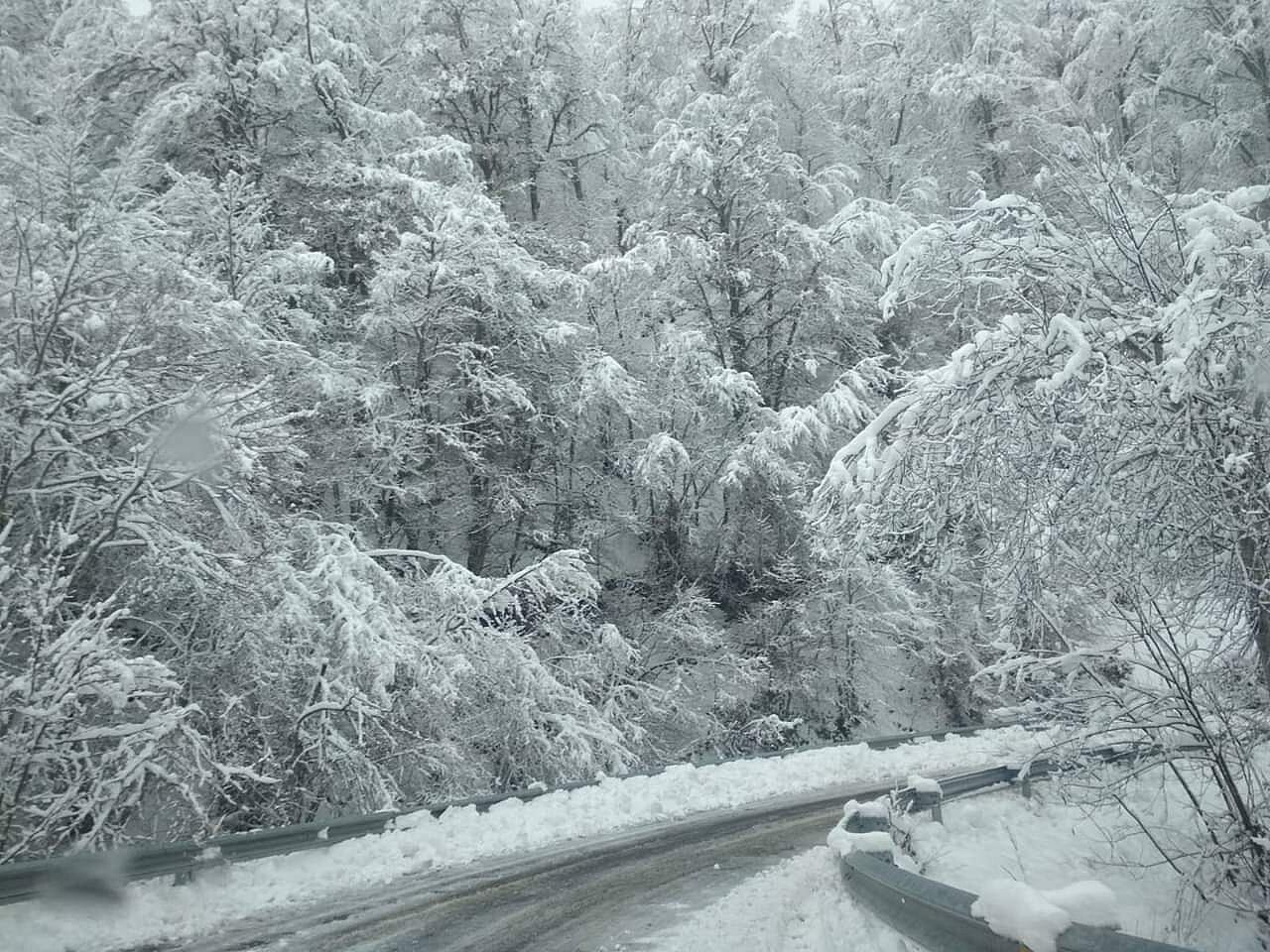 La nieve se instala en la provincia de León. La cota de nieve cae hasta los 800 metros en una provincia en alerta naranja.