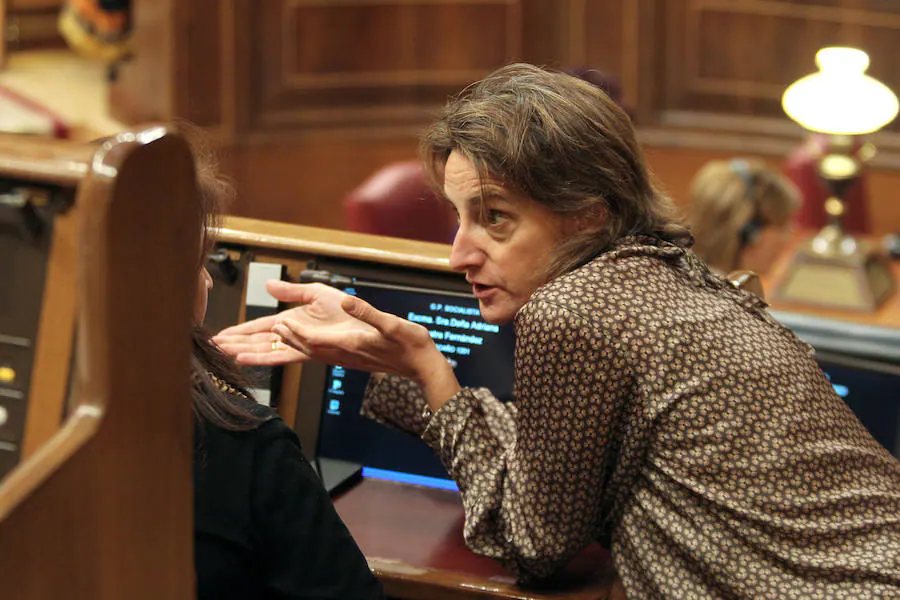 Fotos: Debate del decreto del Gobierno sobre el desarrollo sostenible de las comarcas mineras