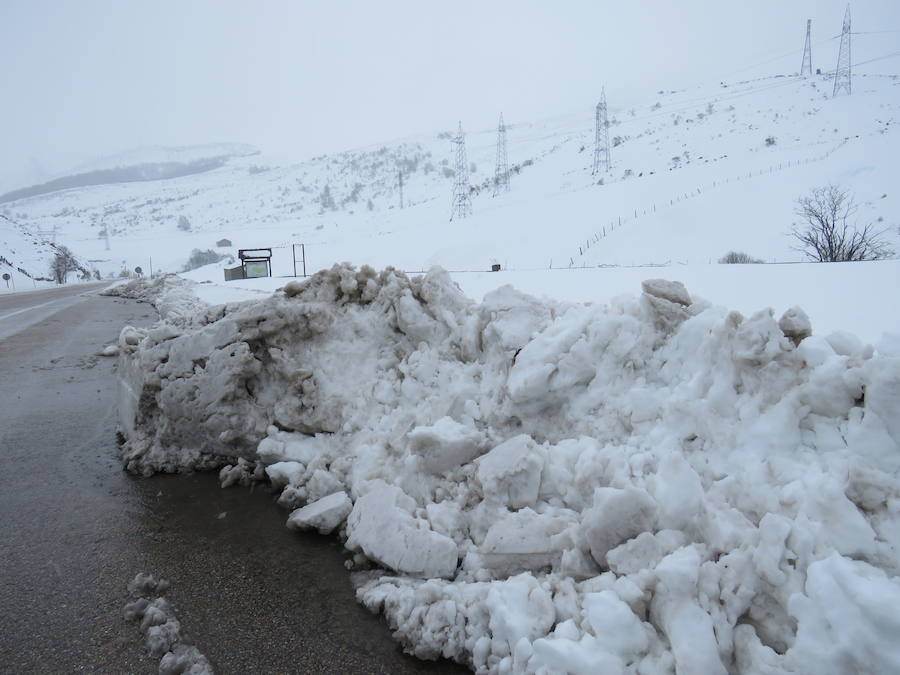 Fotos: León, bajo la nieve... y la lluvia