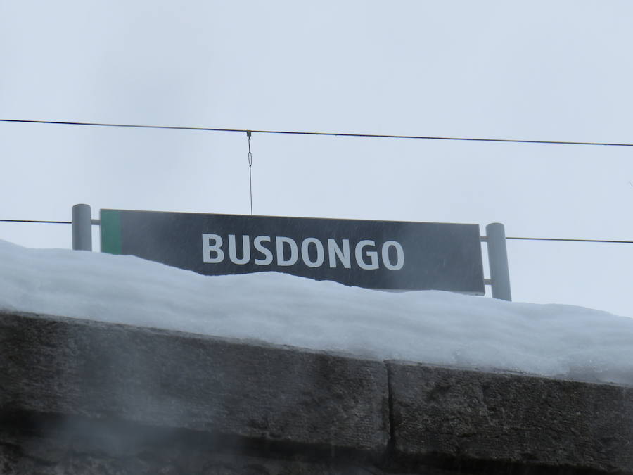 Fotos: León, bajo la nieve... y la lluvia