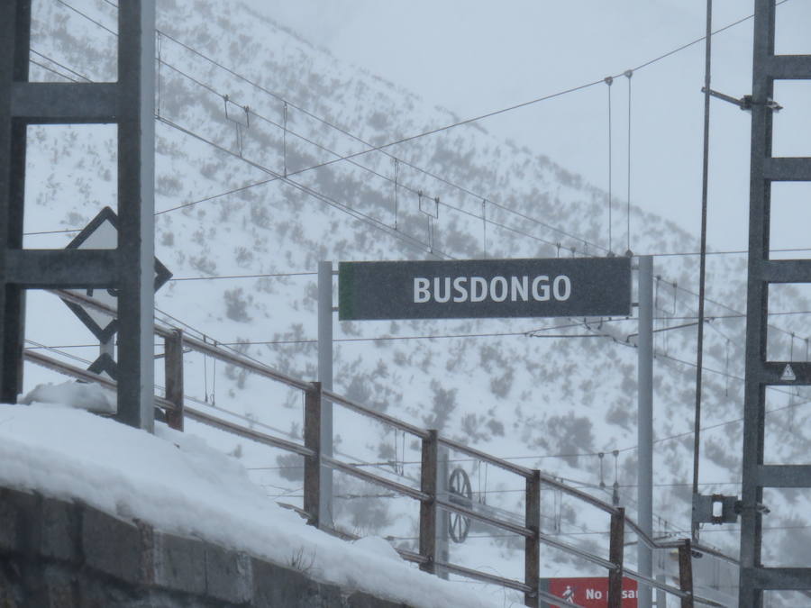 Fotos: León, bajo la nieve... y la lluvia