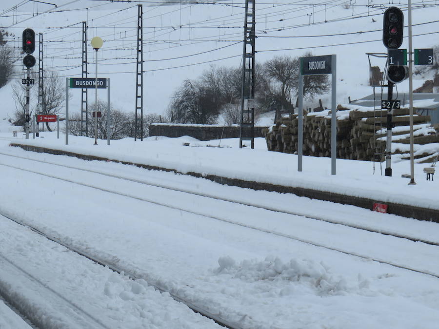 Fotos: León, bajo la nieve... y la lluvia