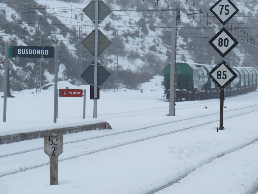 Fotos: León, bajo la nieve... y la lluvia