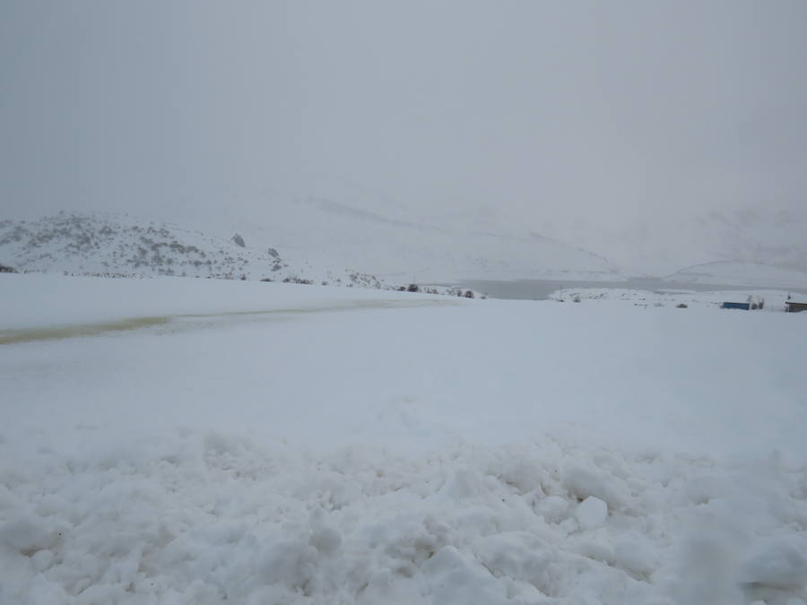 Fotos: León, bajo la nieve... y la lluvia