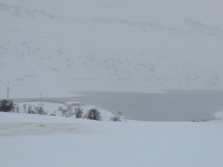 Fotos: León, bajo la nieve... y la lluvia