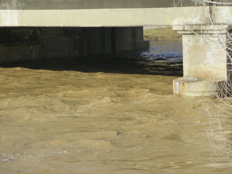 La credida del río Bernesga a su paso por la capital ha obligado al cierre de las pasarelas