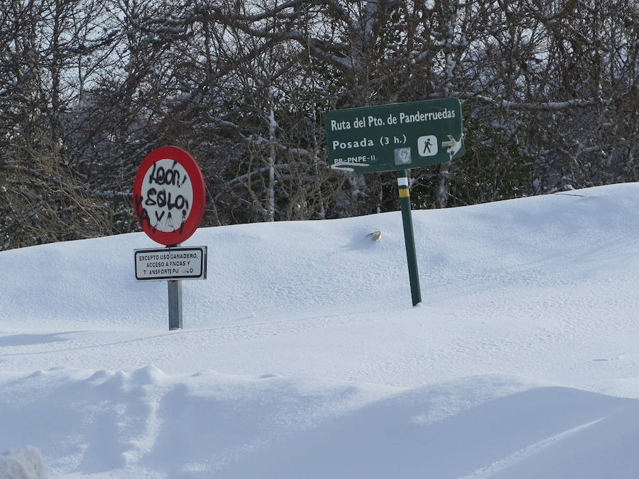 Fotos: Emergencia UME: una persona perdida en la nieve