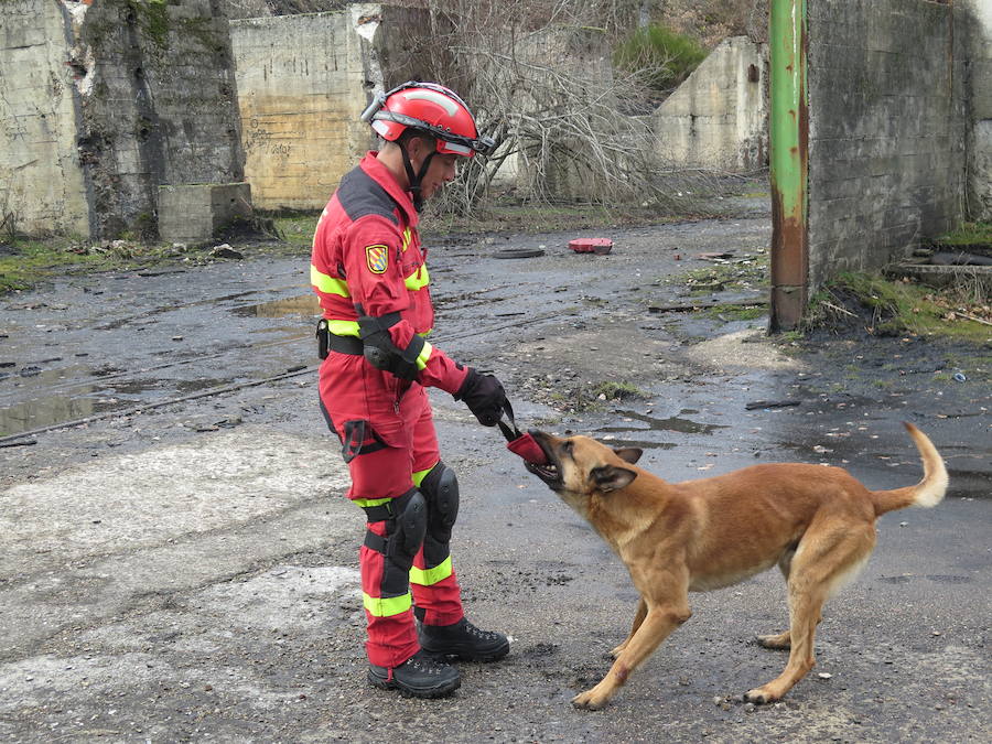 Fotos: Mufly, un militar diferente