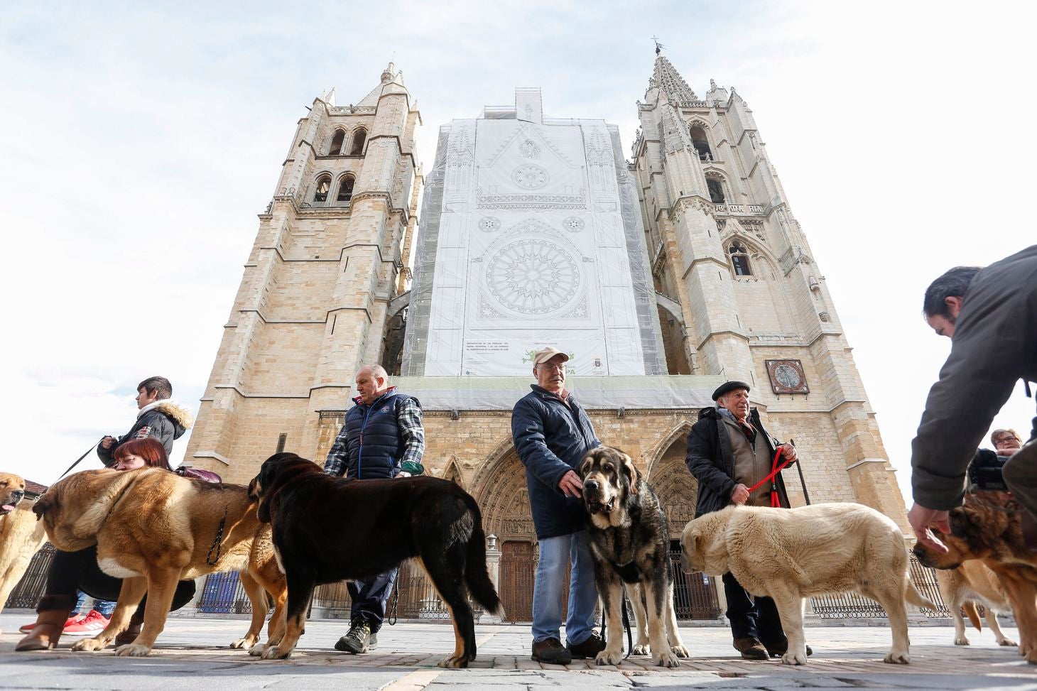 Acto de entrega de premios del Campeonato de León para Mastín 2018