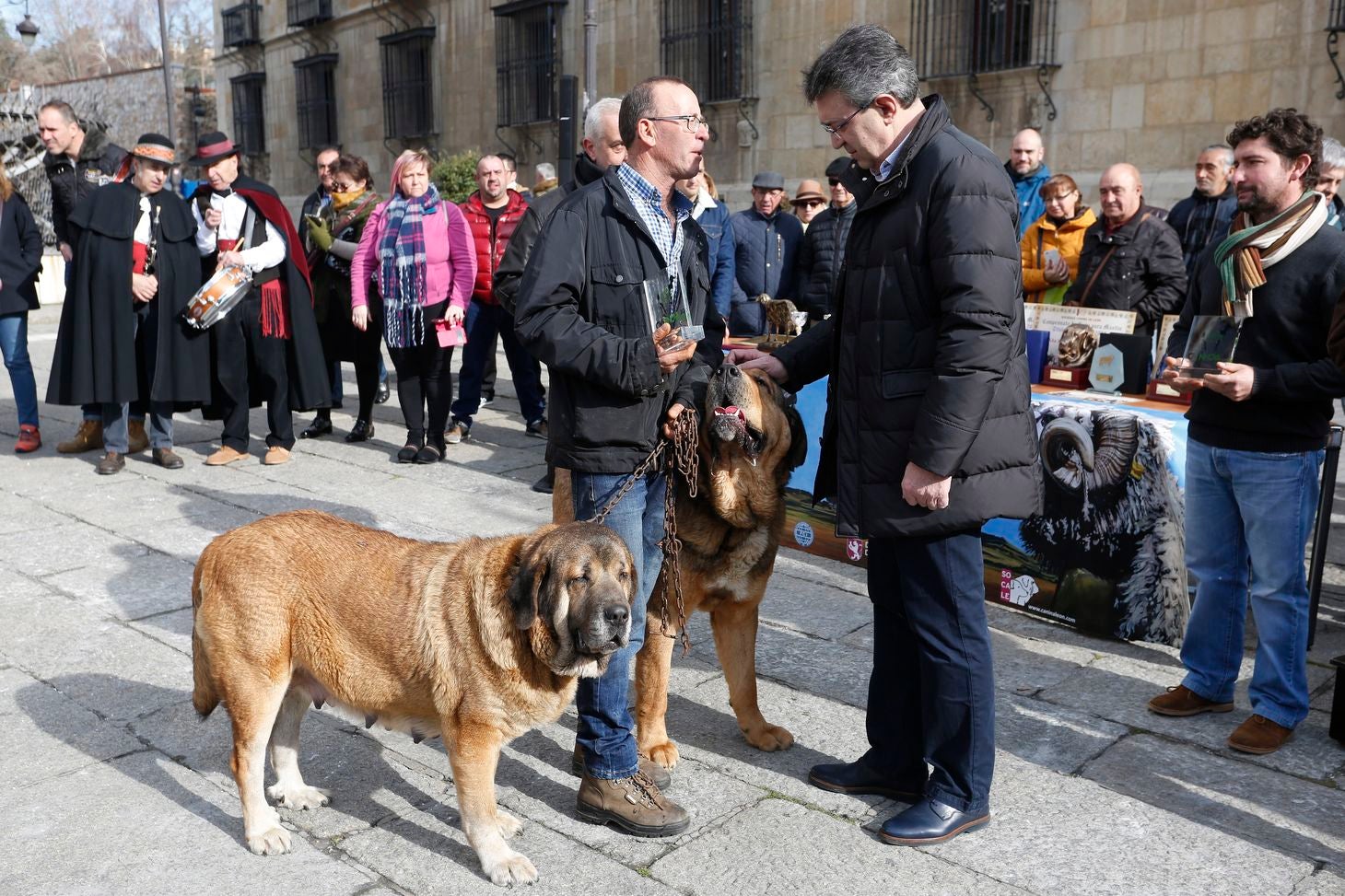 Acto de entrega de premios del Campeonato de León para Mastín 2018