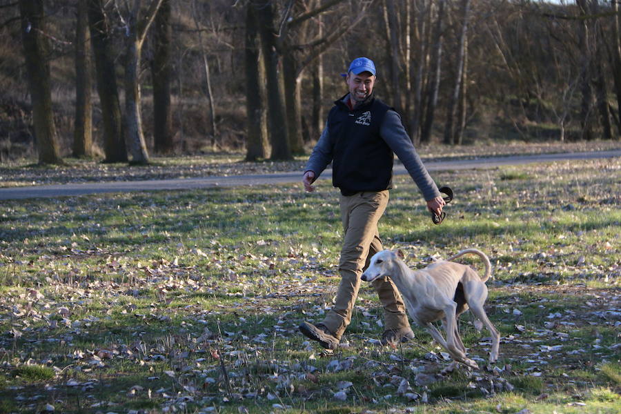 La leonesa Chaparra ha permitido a León colarse en el medallero del Nacional de Galgos 50 años después