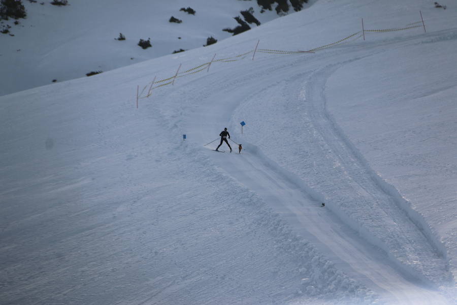 Fotos: Vegarada, capital del mushing