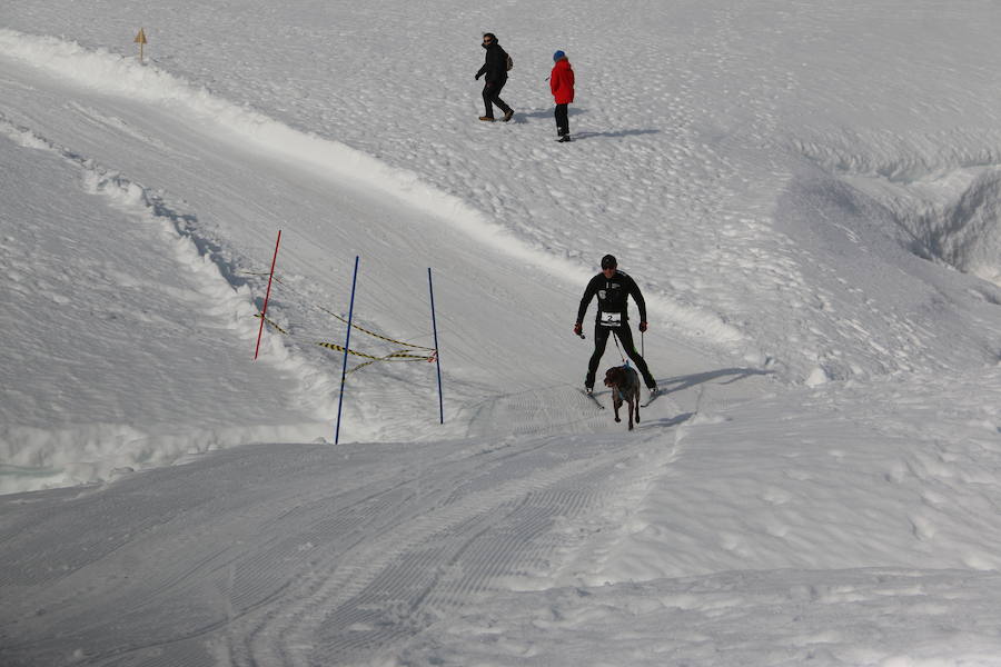 Fotos: Vegarada, capital del mushing