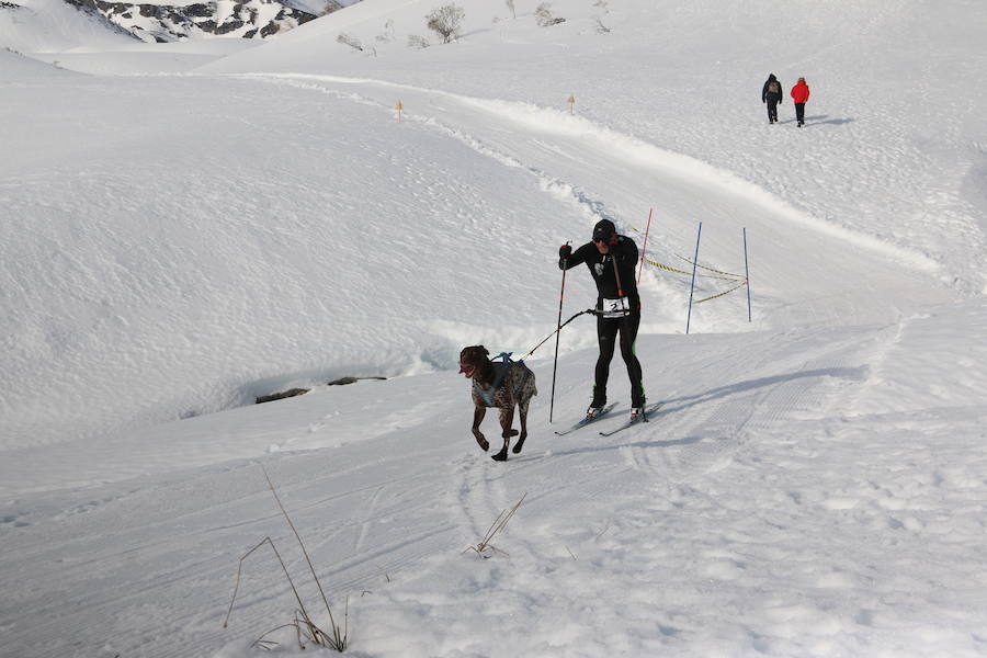 Fotos: Vegarada, capital del mushing