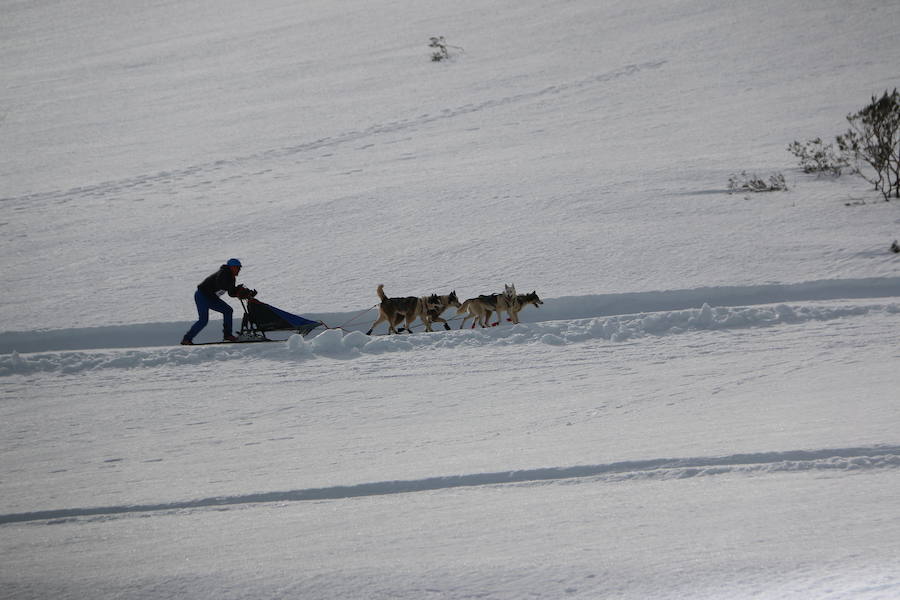 Fotos: Vegarada, capital del mushing