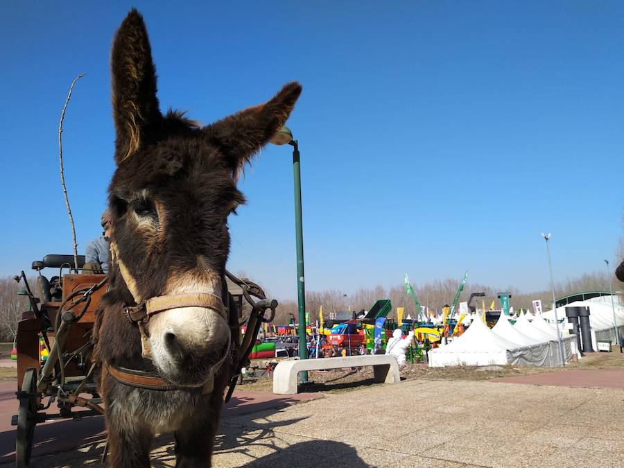 Fotos: La 99 Feria de Febrero abre sus puertas