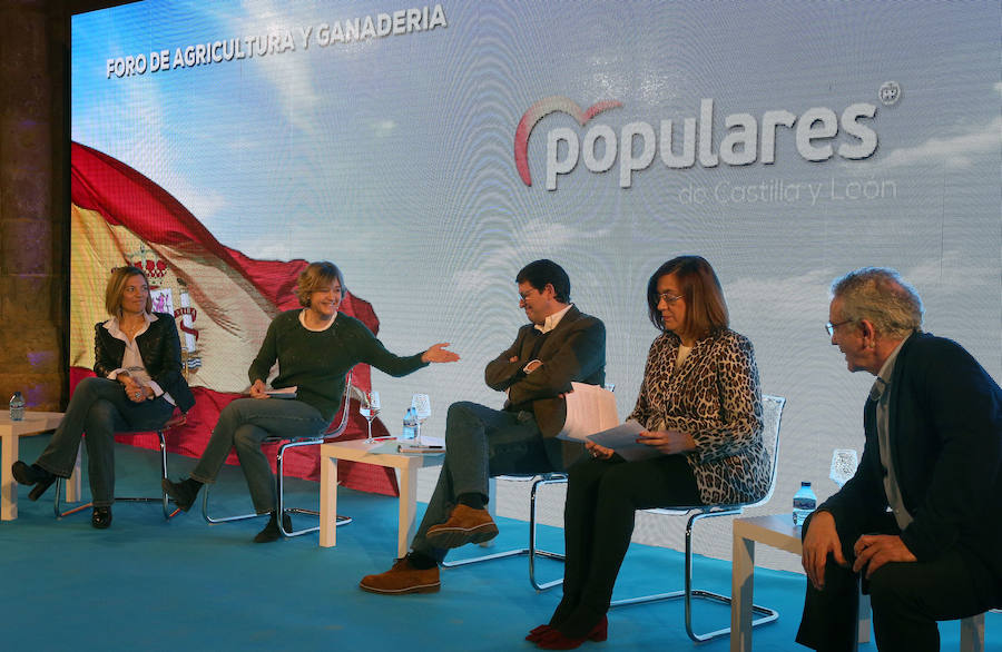 Fotos: Foro de Agricultura y Ganadería del PPCyL en Becerril de Campos