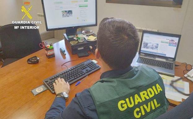 Momento de la investigación de la Guardia Civil.