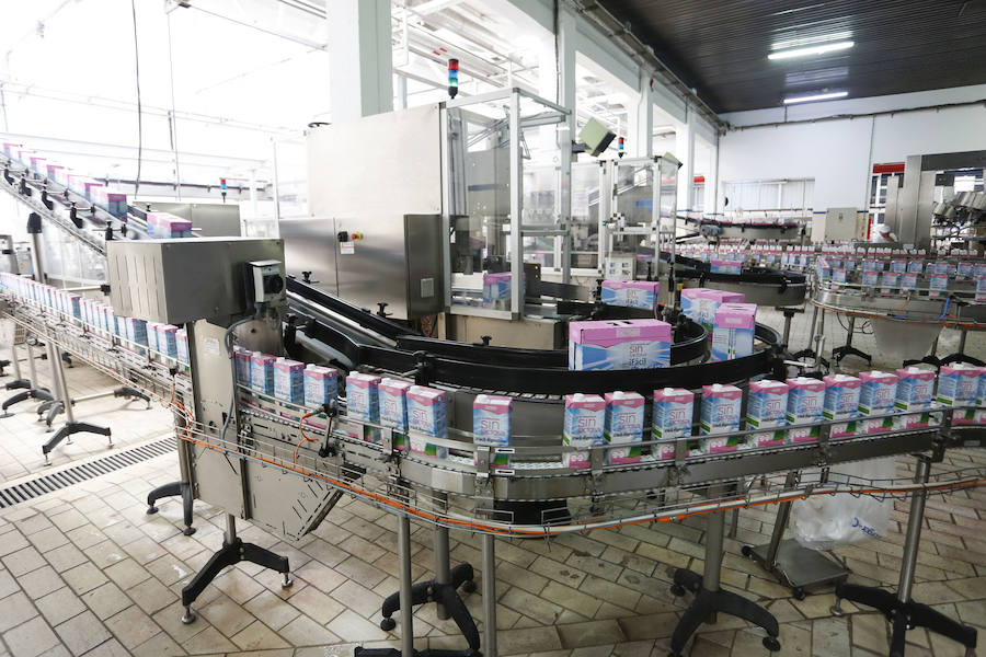 Fotos: El ministro de Agricultura visita la planta de Lactiber