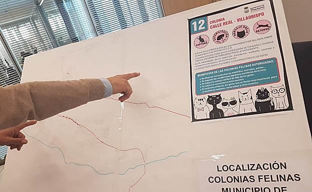 Presentación del plan CER para el control de las colonias felinas de Vilaquilambre.