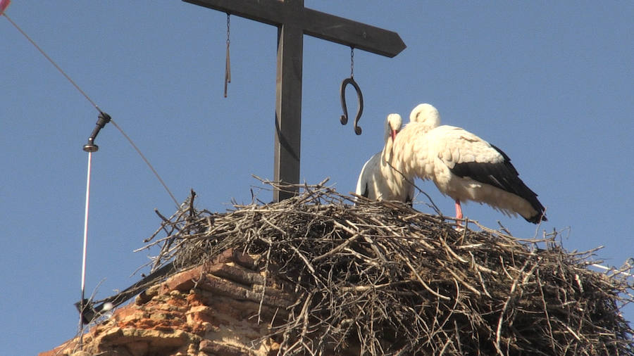 Fotos: Las ilustres vecinas de Valverde de la Virgen