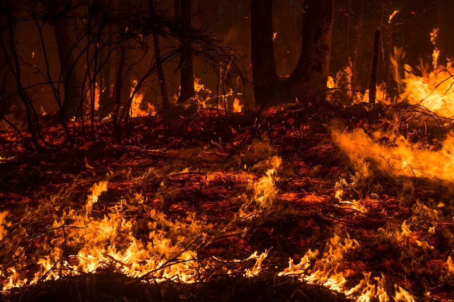 El norte de España se ha visto asolado este fin de semana con más de un centenar de incendios que han afectado duramente a Asturias, Cantabria y Vizcaya. Algunos de ellos ya están controlado, pero, en el Principado, 99 de ellos aún continuan en activos; mientras que en Cantabria el número de incendios activos se ha rebajado de 21 a 17, de un total de más de 60 que fueron provocados en la comunidad autónoma.