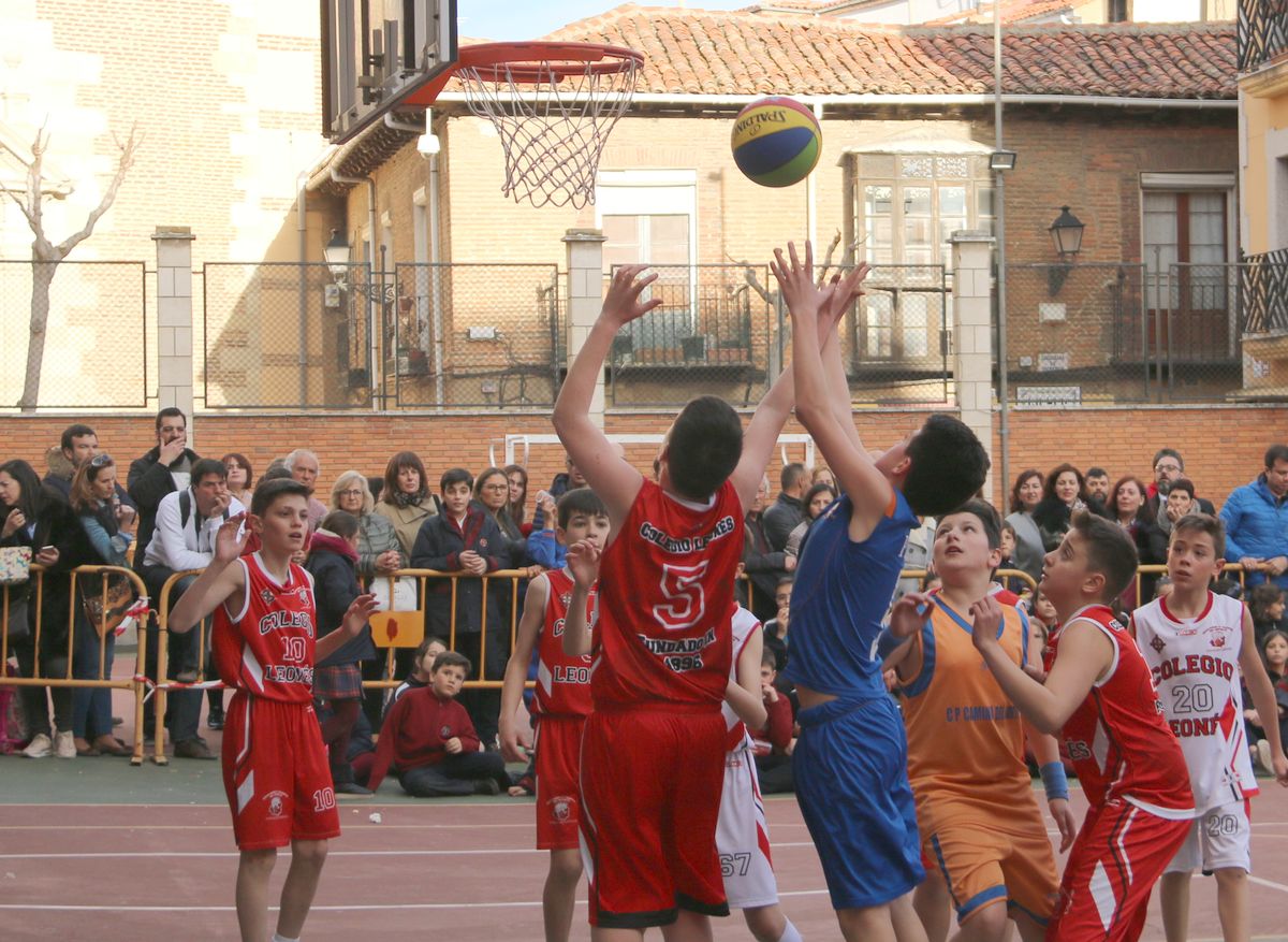 Fotos: La final del Torneo de Minibasket del Colegio Leonés