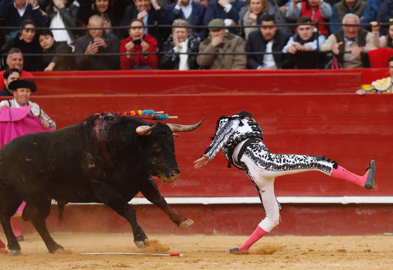 El torero valenciano Enrique Ponce ha sufrido una cogida en la corrida de este lunes, 18 de marzo de 2019, en la Feria de Fallas. Su segundo toro de la tarde, el quinto de la jornada, le ha dado una cornada en la parte posterior del muslo izquierdo, justo debajo de la nalga. En la caída, el diestro de Chiva también se ha lesionado la rodilla izquierda.