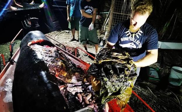 Un cúmulo de plástico extraídos del cetáceo muerto.