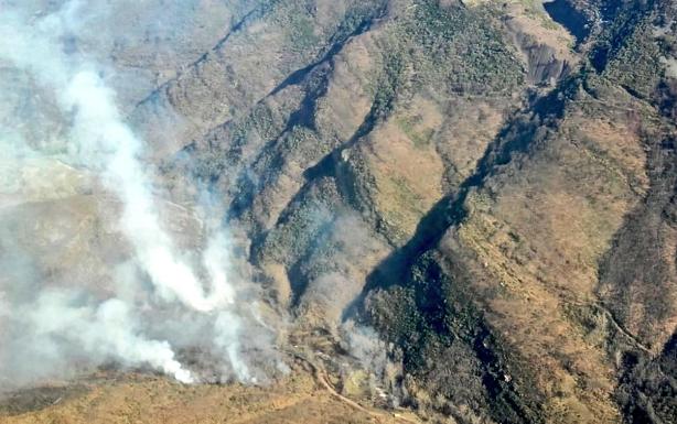 Incendio forestal en Valdepiélago. 