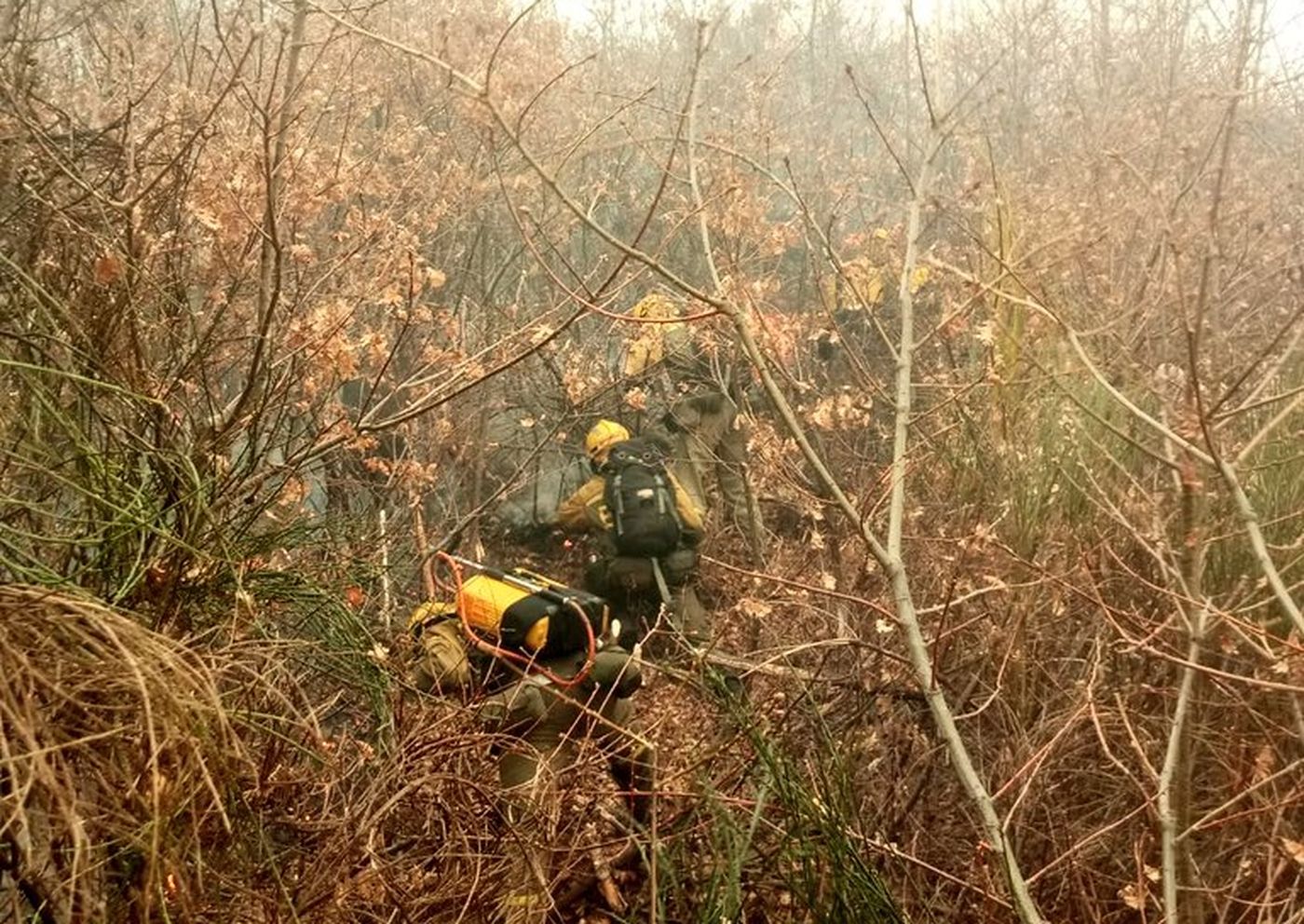 La Junta de Castilla y León ha declarado época de peligro medio de fuegos forestales hasta el 4 de abril