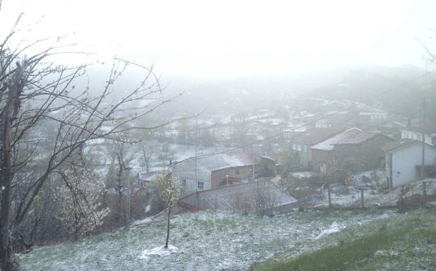 Zona nevada en al comarca de Valderrueda.