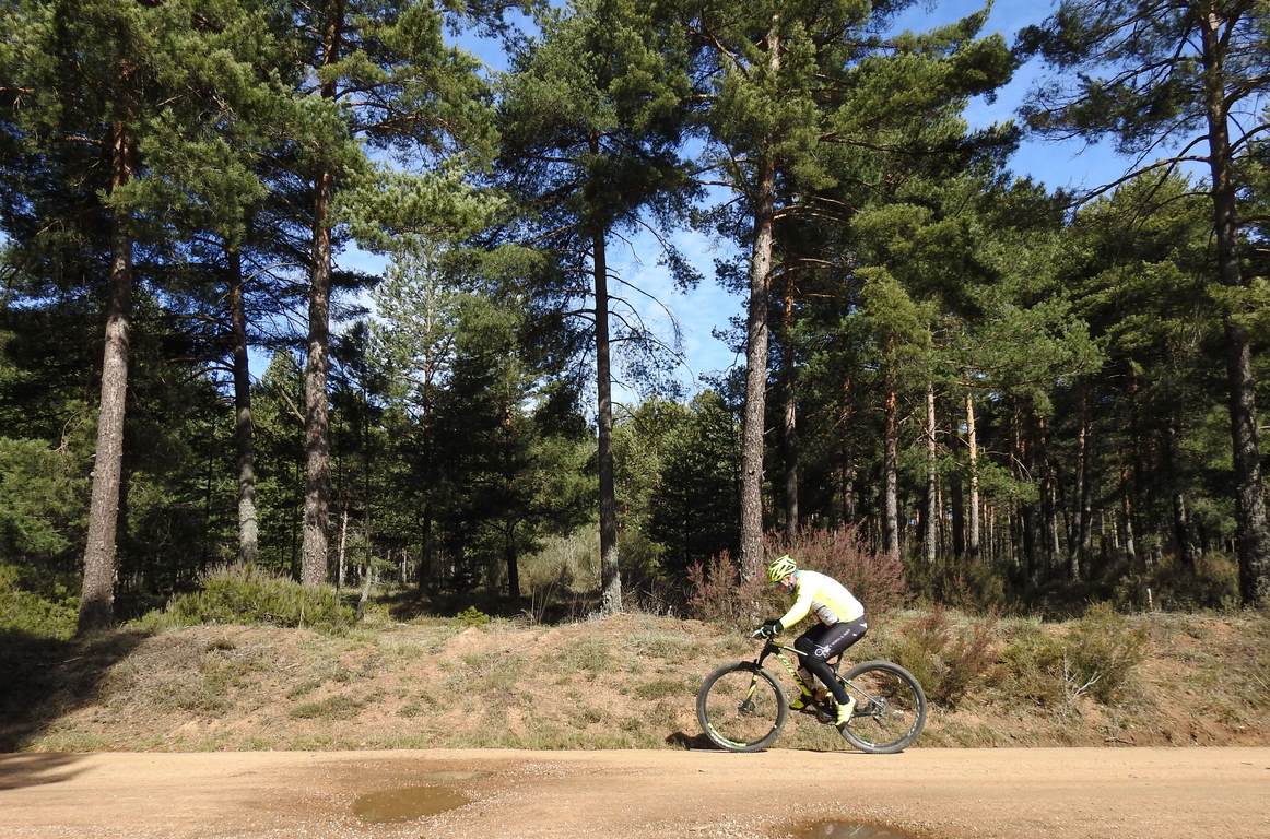 700 corredores se citan en la Power Race 2019 con la presencia de numeroso público y que ha tenido al exprofesional Santiago Blanco Gil como gran protagonista