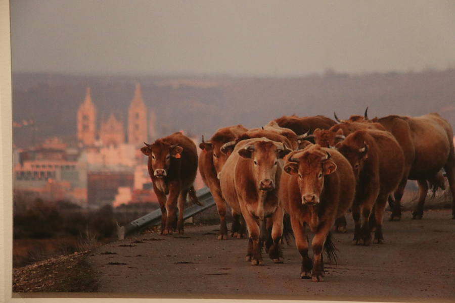 Inauguración de la exposición 'León Press Photo 2018'. En la imagen, intervención del comisario de la exposición, Saúl R. Arén