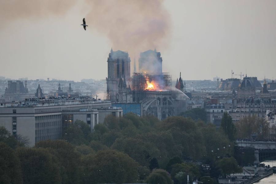 Fotos: Las imágenes del incendio de la Catedral de Notre Dame