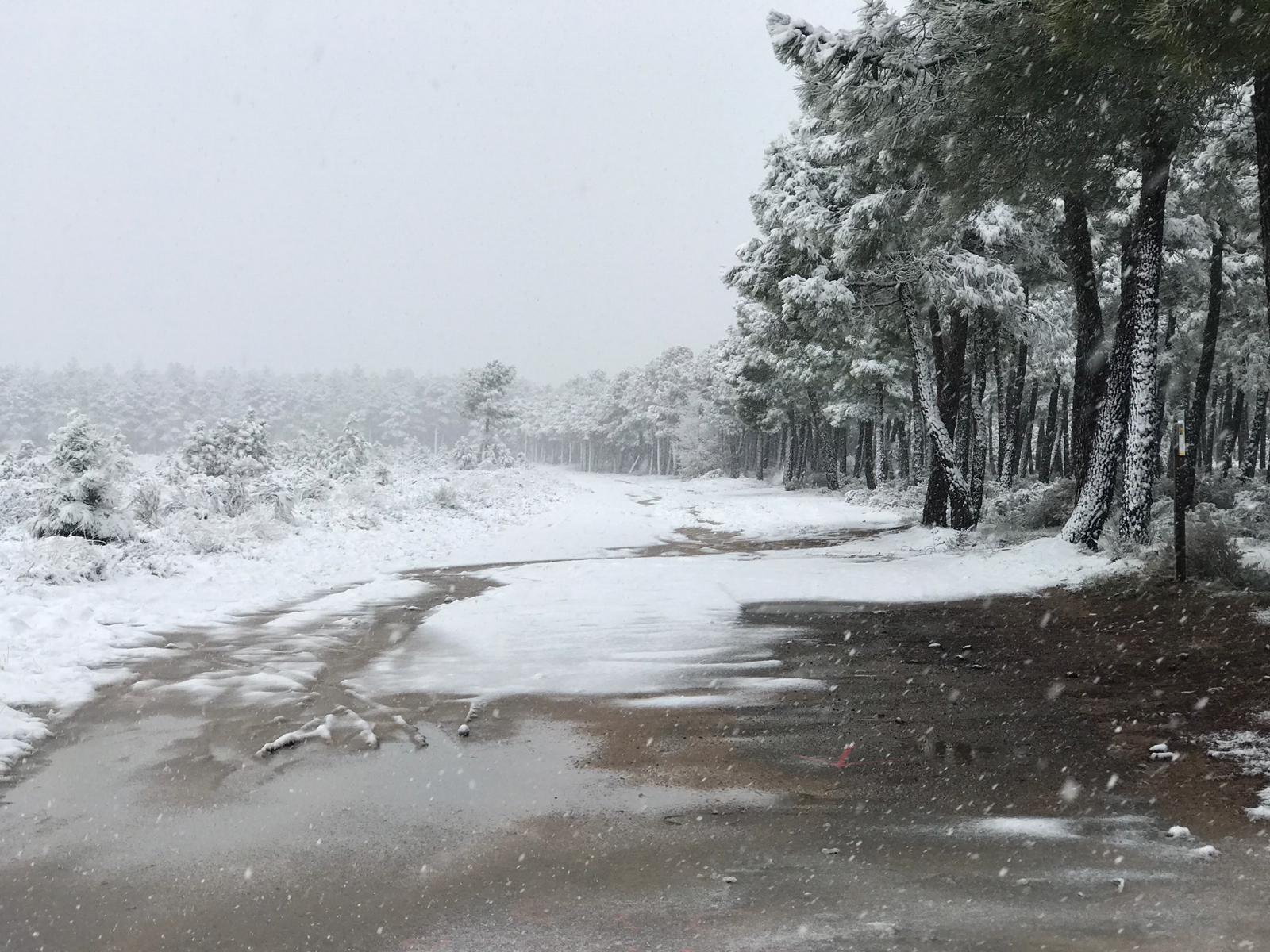 Fotos: La nieve regresa a la provincia