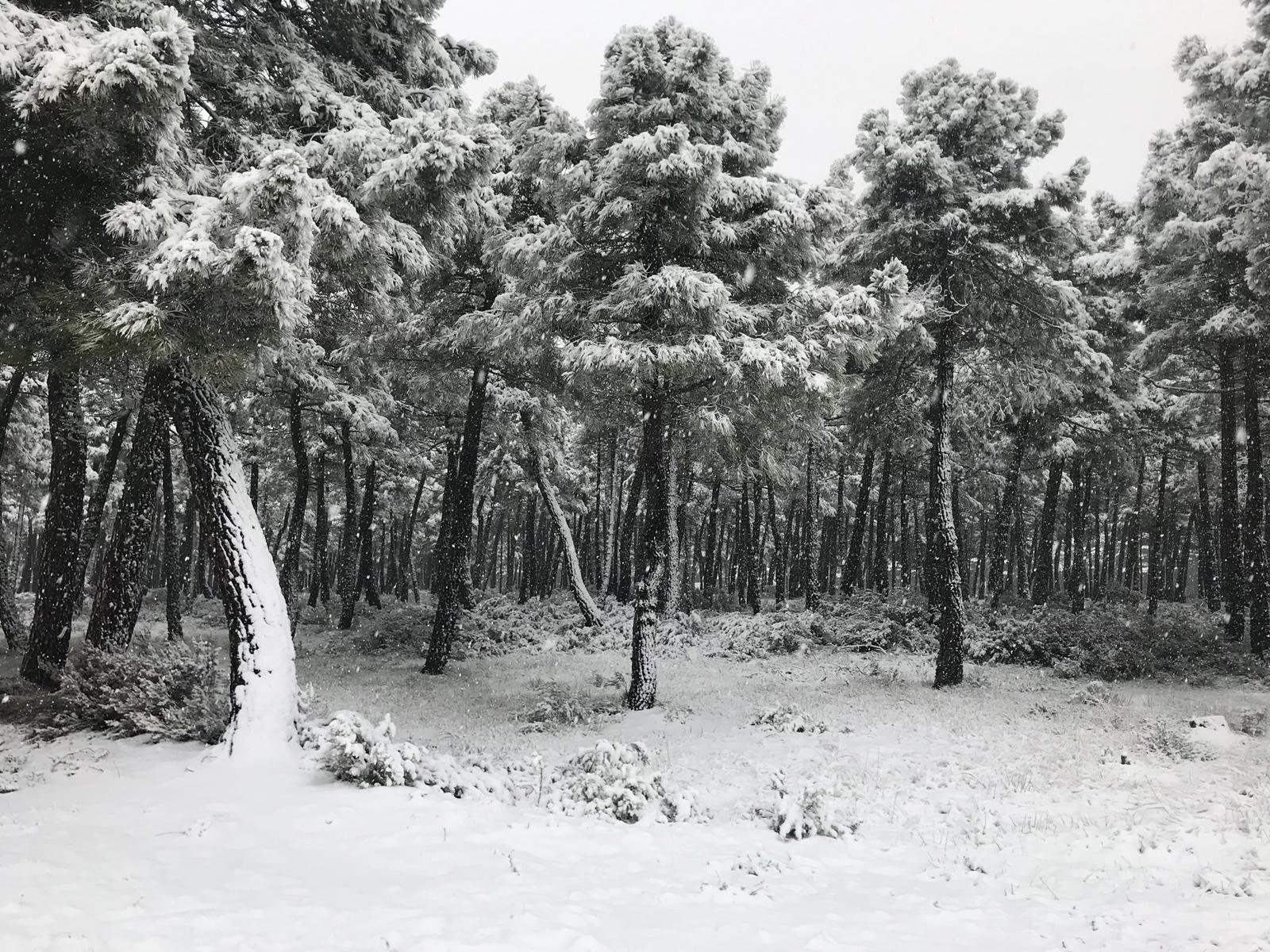 Fotos: La nieve regresa a la provincia