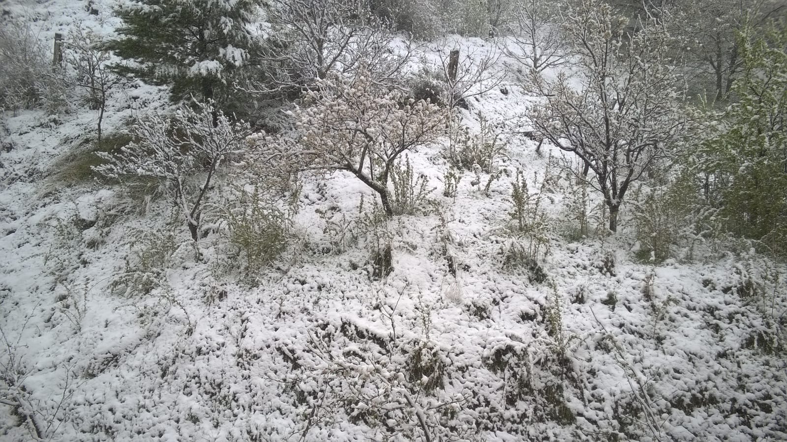 Fotos: La nieve regresa a la provincia