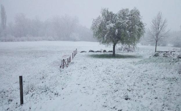 Foto de Sanabria, tras las primeras nevadas de este miércoles. 