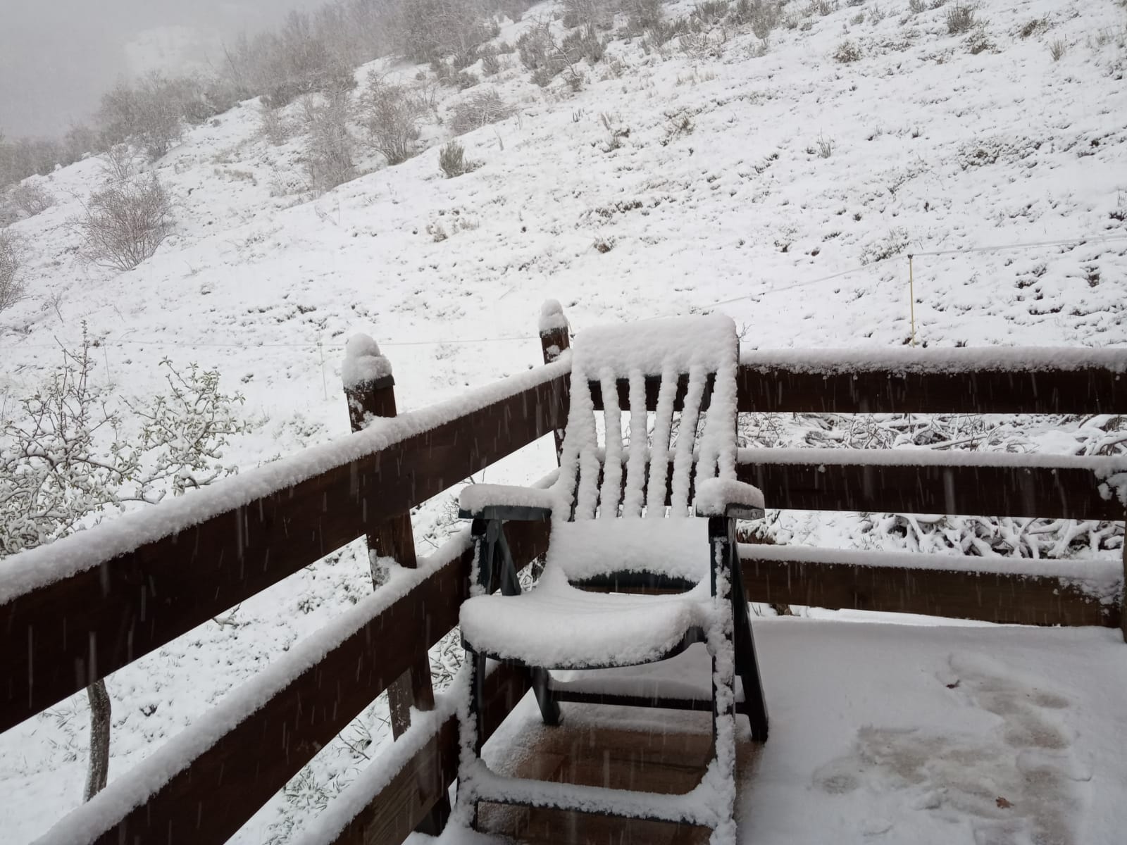 Fotos: La nieve regresa a la provincia