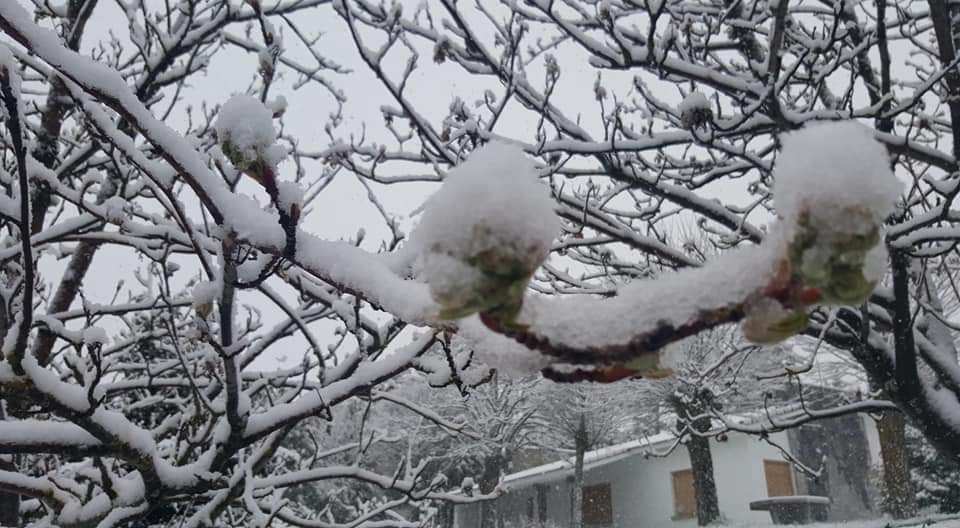 Fotos: La nieve regresa a la provincia