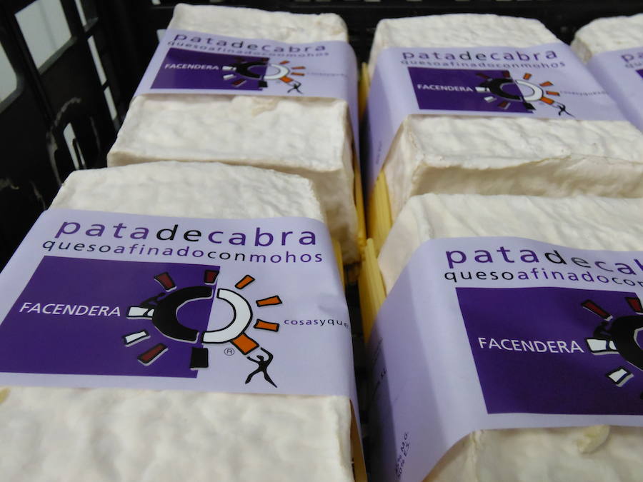 Emanando del sabor de la montaña surgen los quesos de Facendera. Unos quesos con el auténtico sabor de León y que se basan en las ancestrales recetas de los dos tipos de queso tradicionales elaborados en las comarcas de Babia y Laciana.