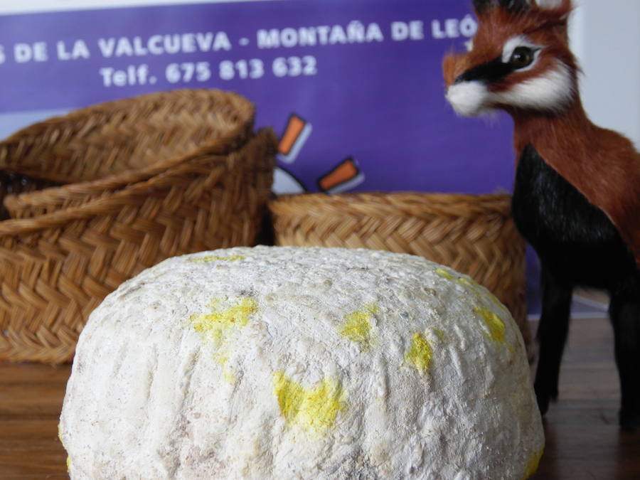 Emanando del sabor de la montaña surgen los quesos de Facendera. Unos quesos con el auténtico sabor de León y que se basan en las ancestrales recetas de los dos tipos de queso tradicionales elaborados en las comarcas de Babia y Laciana.