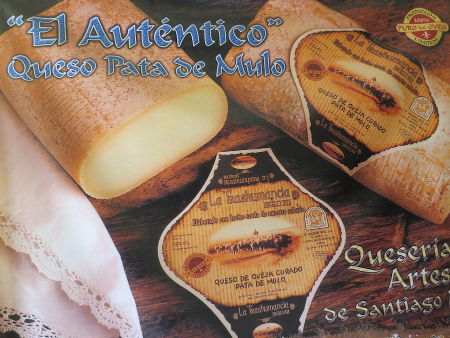 El sabor de la tradición es la Moldera Real quesos Trashumancia. Situada en la localidad leonesa de Santiago Millas, elabora de forma tradicional quesos artesanos pata de mulo, quesos redondo y quesos en aceite.