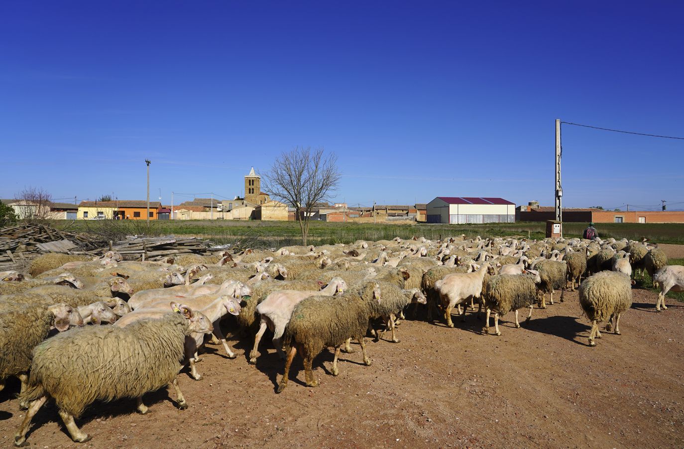 La imagen de la España vacía. Colegios sin votantes y pueblos, como en León, donde apenas se llega al medio centenar de personas en el censo