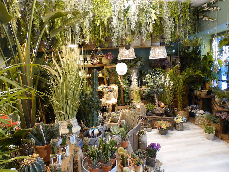 Flores, plantas y regalos a precios inigualables con los que sorprender con un regalo sorprendente y original en este Día de la madre. Cualquier regalo para decoración del hogar está disponible en 'El Capricho'. 