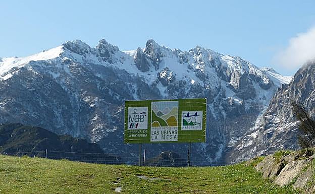 Parque Natural de Las Ubiñas-La Mesa (Asturias), Reserva de la Biosfera.