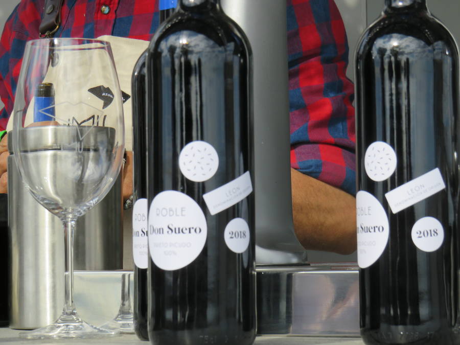 Fotos: Un nuevo vino en el mercado leonés, el Don Suero Roble