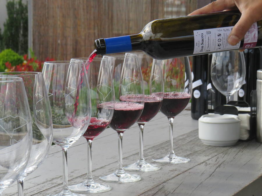 Fotos: Un nuevo vino en el mercado leonés, el Don Suero Roble