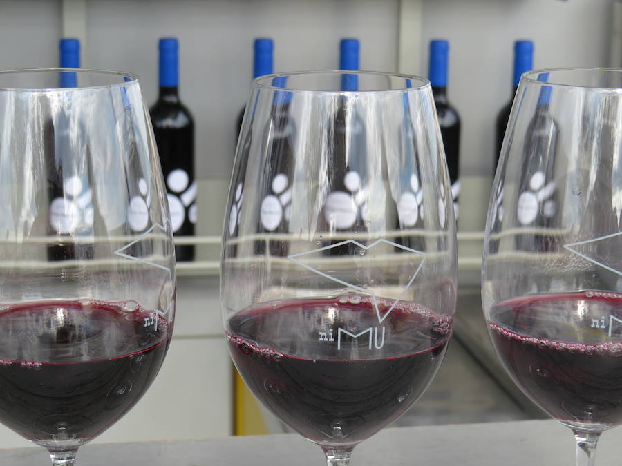Fotos: Un nuevo vino en el mercado leonés, el Don Suero Roble